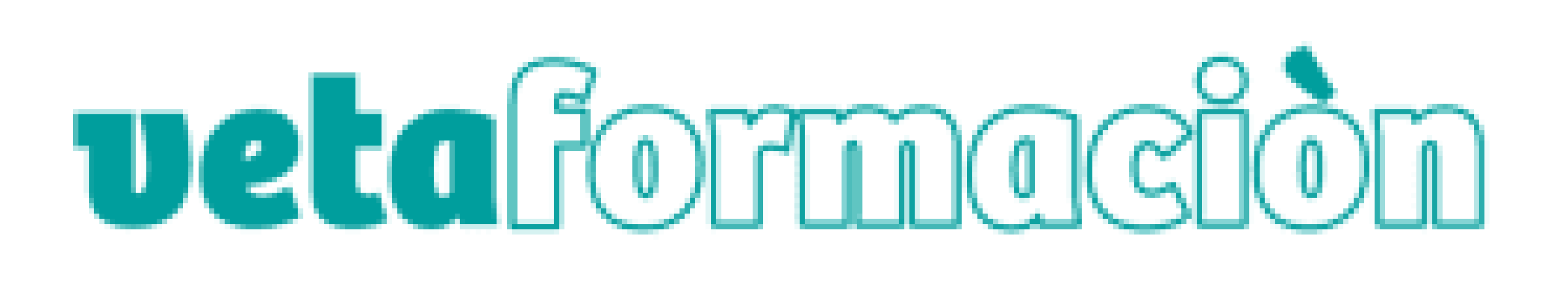 Veta Formación